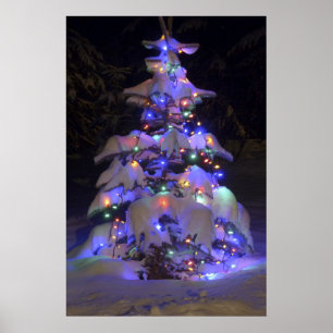 Poster Arbre de Noël couvert de neige brillante