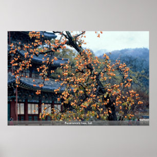 Poster Arbre de Persimmons, chute