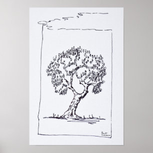 Poster Arbre d'Olive   Sud de la France