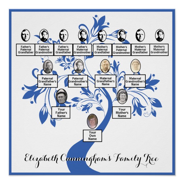 Poster Arbre Floral Blue Silhouette Family Tree Photos (Devant)