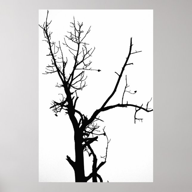 Poster Arbre noir et blanc (Devant)