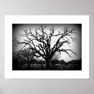Poster arbre noir et blanc dans le cimetière