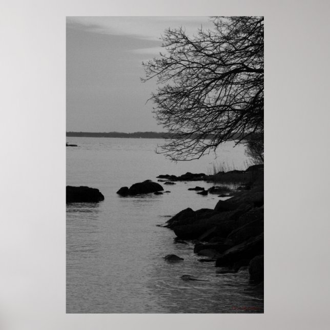 Poster Arbre noir et blanc sur la baie #5845 (Devant)