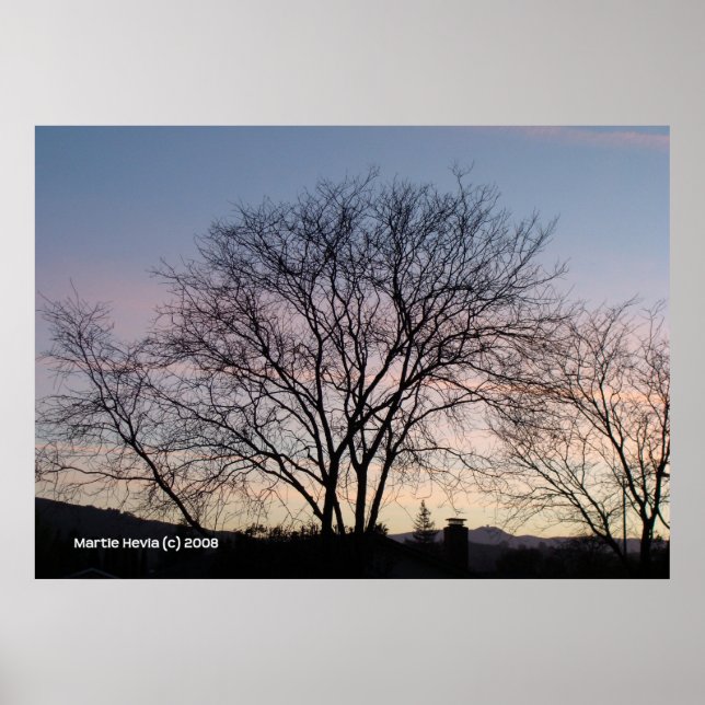 Poster Arbre nu à Dusk (Devant)
