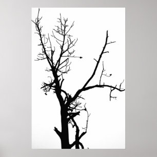 Poster Arbre nu noir et blanc