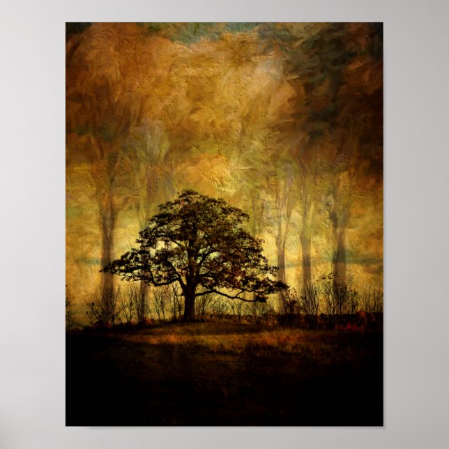 Poster Arbre Pacifique (Devant)