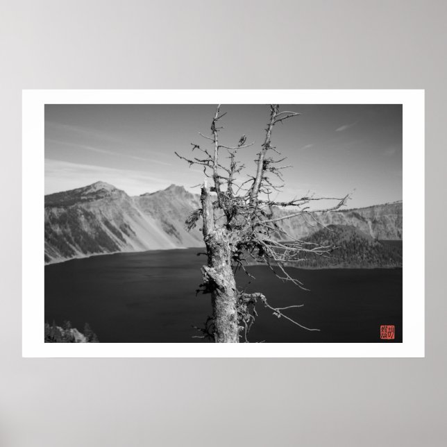Poster Arbre solitaire (Devant)