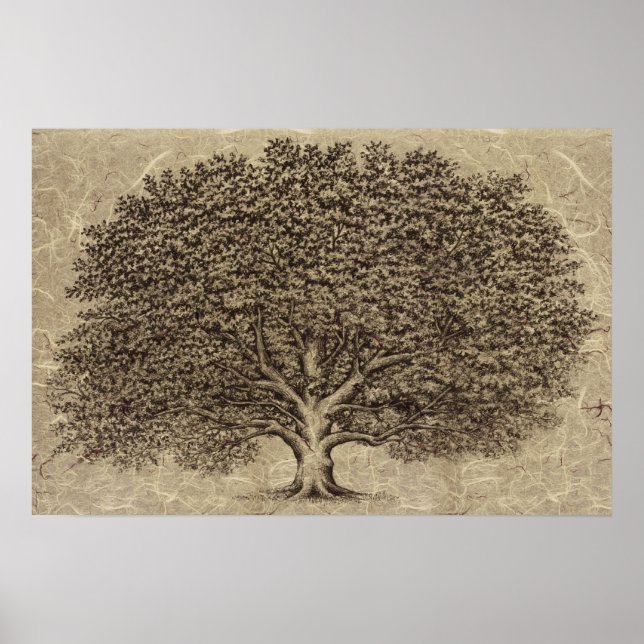 Poster Arbre vintage (Devant)