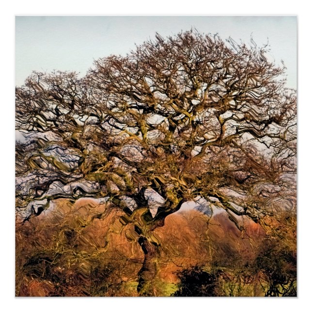 POSTER ARBRES (Devant)