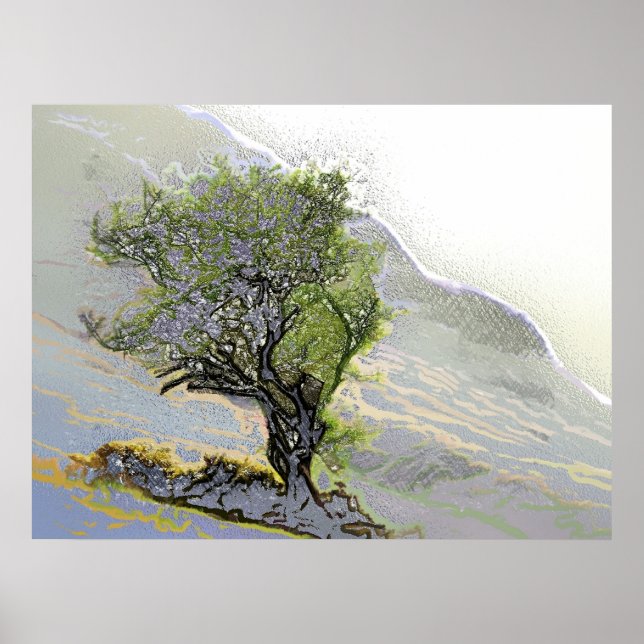 POSTER ARBRES (Devant)