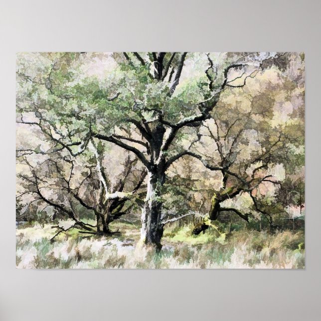 POSTER ARBRES (Devant)