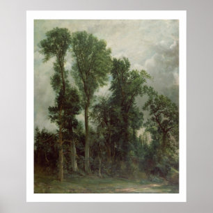 Poster Arbres à Hampstead