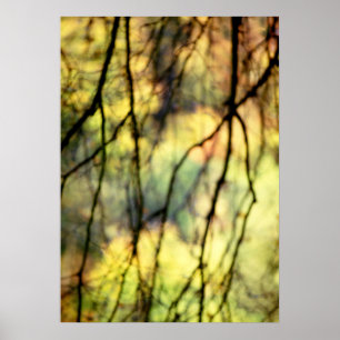 Poster Arbres Abstraits