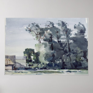 Poster Arbres - Aube