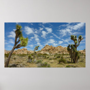 Poster Arbres de Josué et paysage désertique ciel bleu