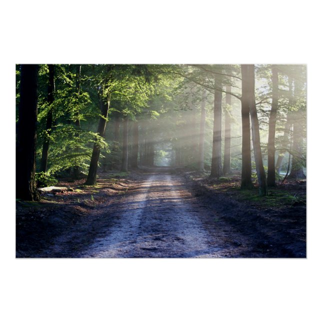 Poster Arbres d'été recouvrant la route de Dirt (Devant)