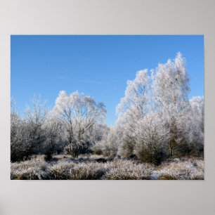 POSTER ARBRES D'HIVER