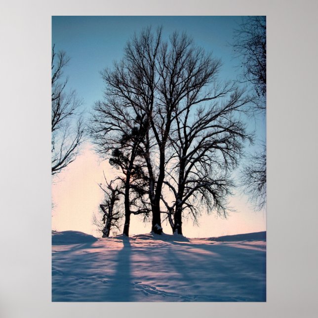 Poster Arbres d'hiver sur le crépuscule bleu ciel arrière (Devant)