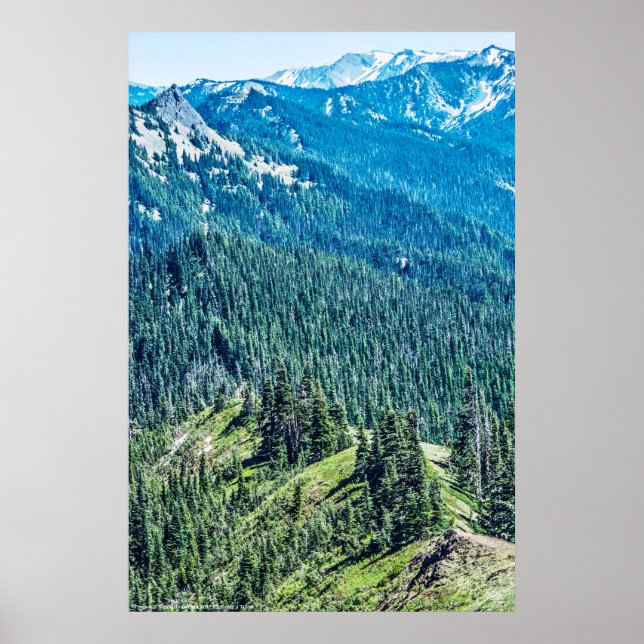Poster Arbres et crêtes (Devant)