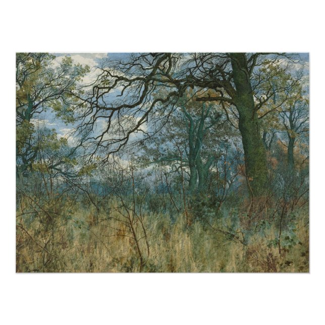 Poster Arbres et sous-bois – Jardin William Fraser (Devant)