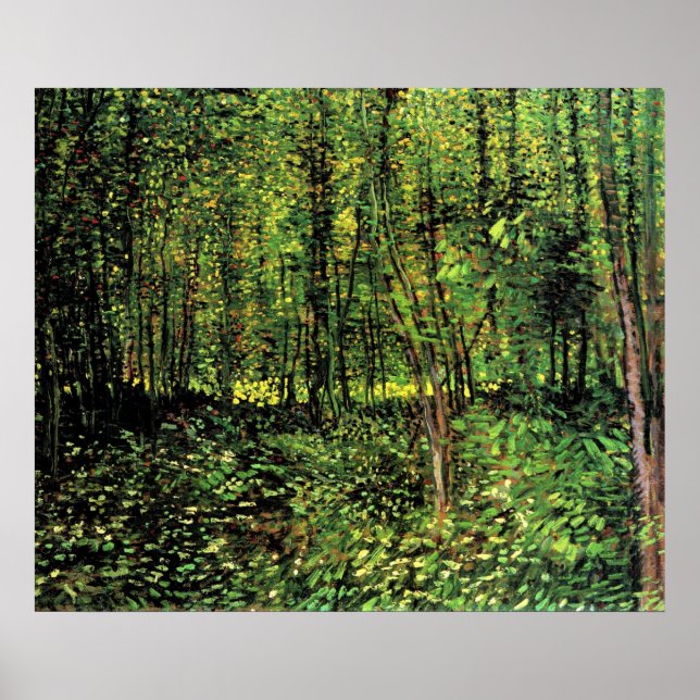 Poster Arbres Et Sous-Croissance (Devant)