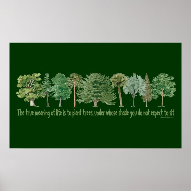 Poster Arbres plantes (Devant)