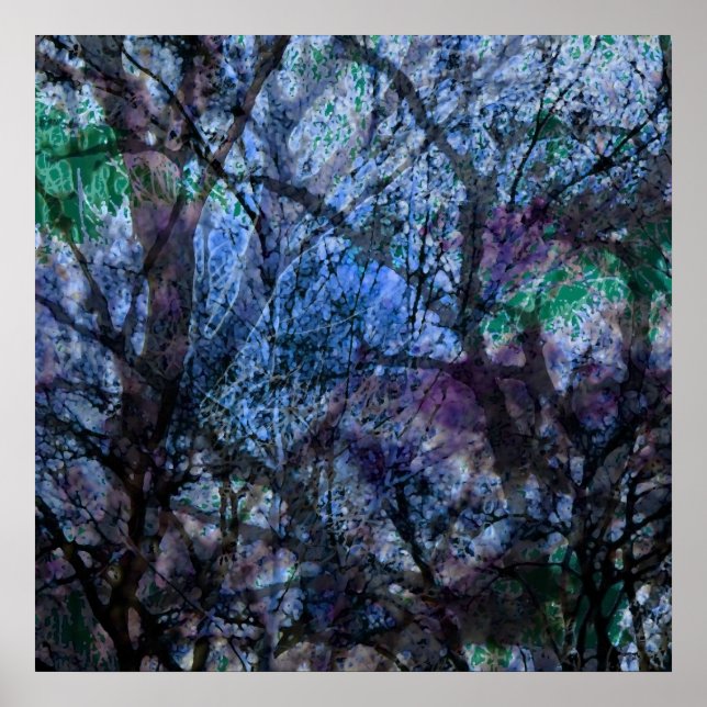 Poster Arbres stratifiés au crépuscule (Devant)