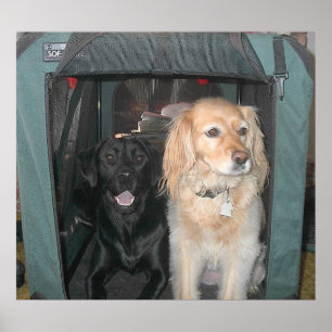 Poster Ardoise et Sasha