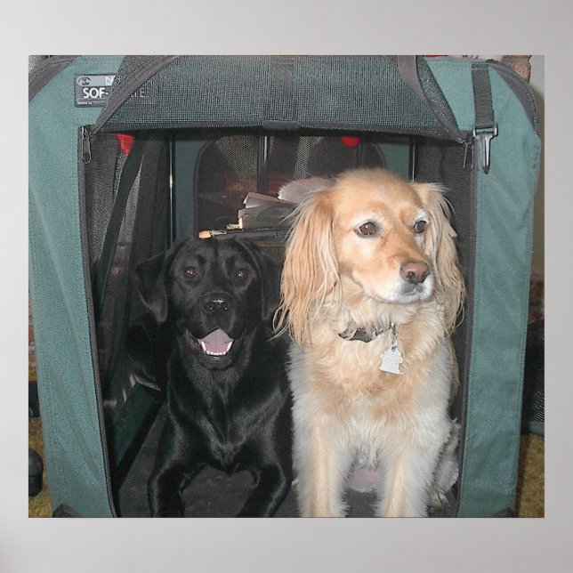 Poster Ardoise et Sasha (Devant)