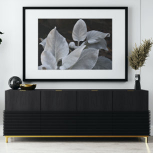 Poster Argent Blanc Ange ailes Plante Floral