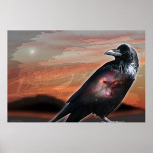 Poster Arizona Raven