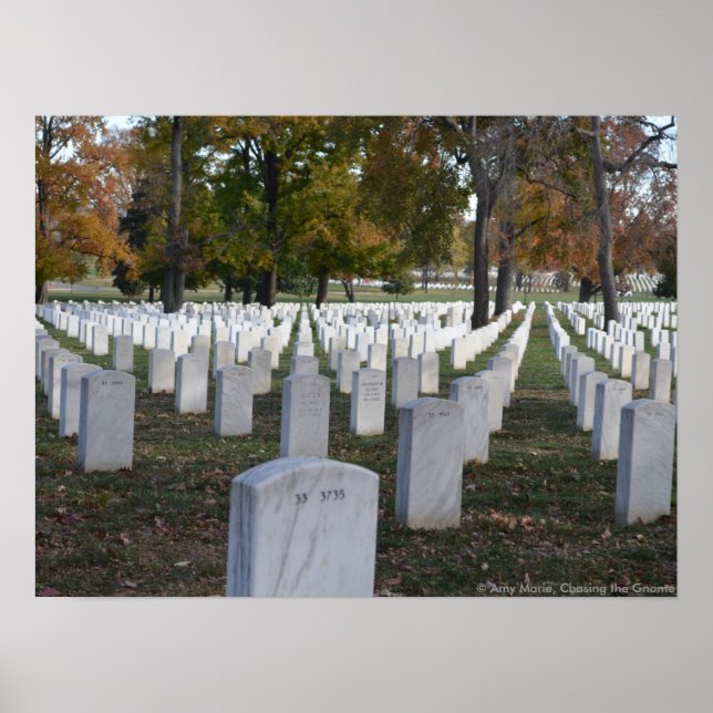 Poster Arlington Cemetery Automne 2013 Headstones (Devant)