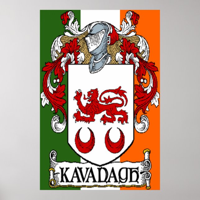 Poster Armoiries de Kavanagh Drapeau irlandais Imprimer (Devant)