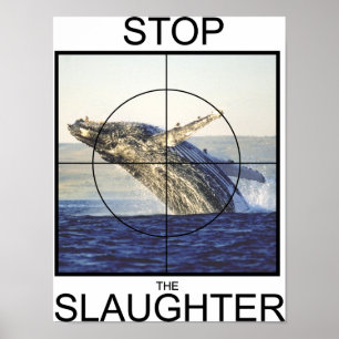 Poster Arrêter l'abattage des baleines
