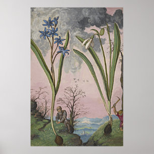 Poster Art botanique antique Snowdrop