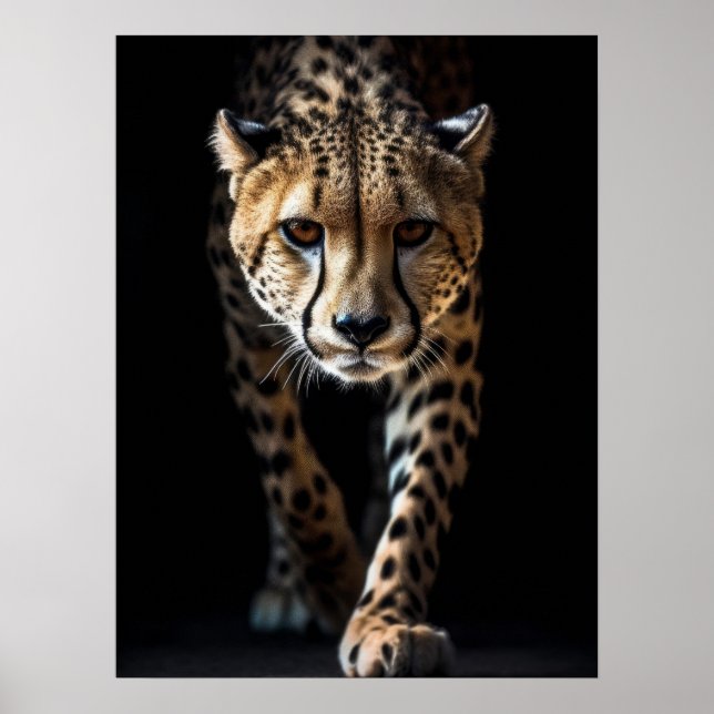 Poster Art Cheetah (Devant)