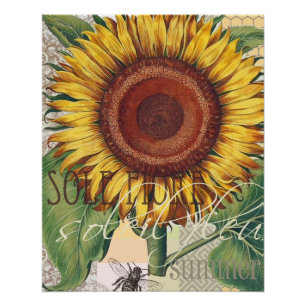 Poster Art de fleur de damas vintage tournesol