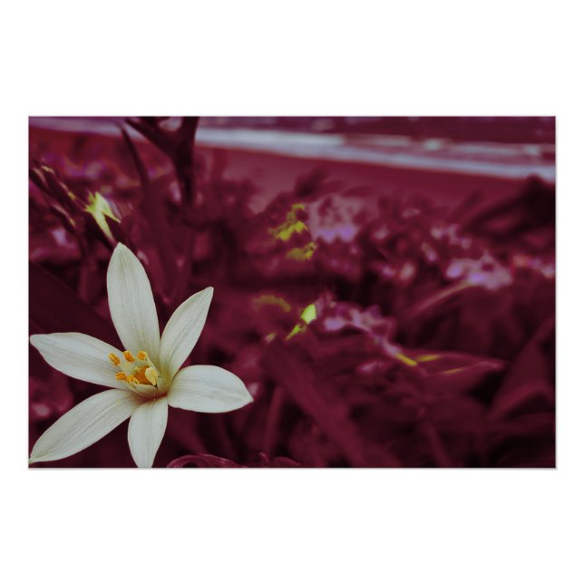 Poster Art du paysage de fleurs océaniques (Devant)