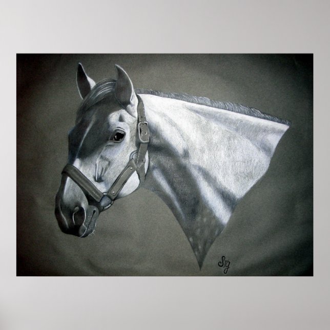 Poster Art équestre gris sur gris (Devant)