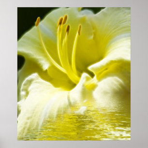 Poster Art numérique floral