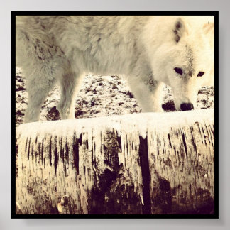 Poster Arthur le loup