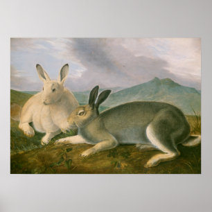 Poster Artic Hares Couple Paysage Aquarelle Huile