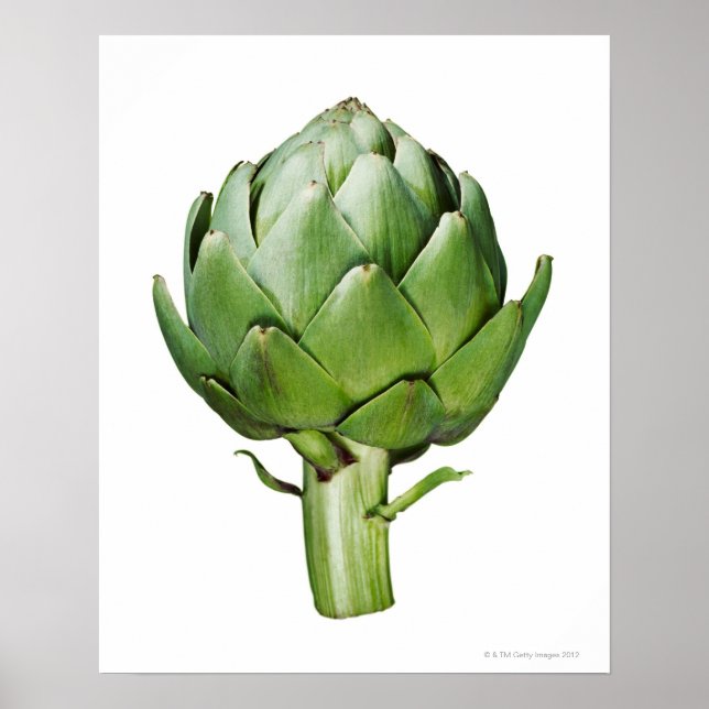 Poster Artichoke du Globe sur un Arrière - plan blanc cou (Devant)