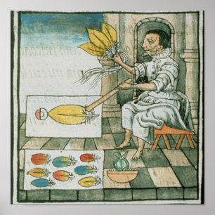 Poster Artiste de plumes aztèques