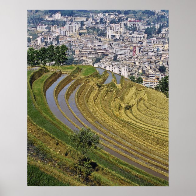 Poster Asie, Chine, province du Yunnan, Jinping. Jinping (Devant)