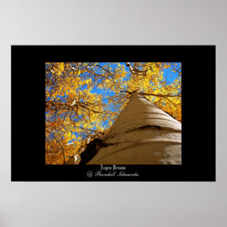 Poster Aspen Dreams
