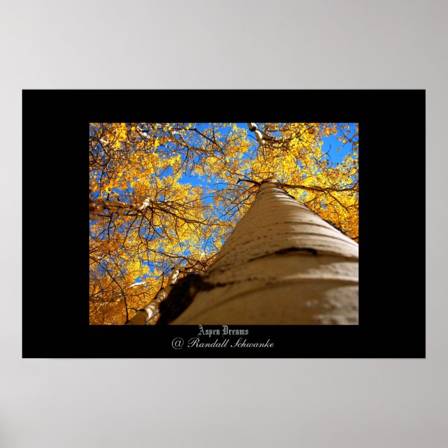 Poster Aspen Dreams (Devant)