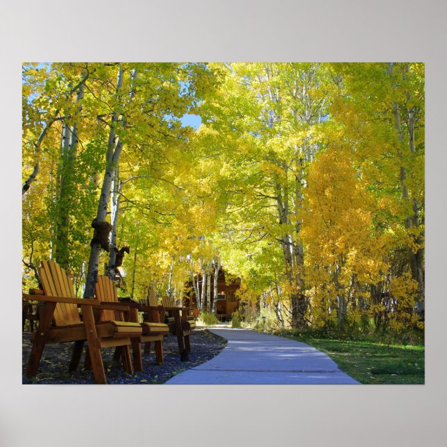 Poster "Aspen Walkway", Vue au sol, automne (Devant)