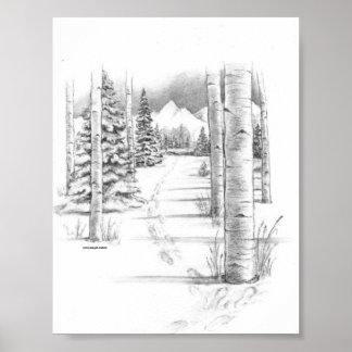 Poster Aspens en hiver