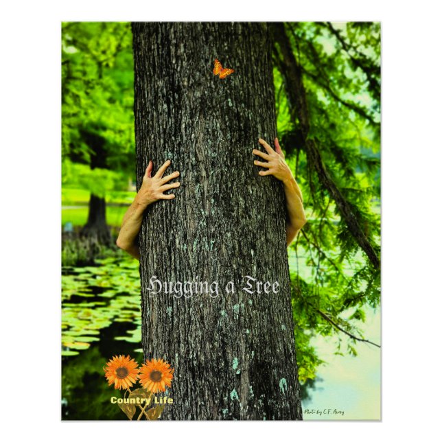 Poster Attaque d'arbre - Vie de campagne (Devant)